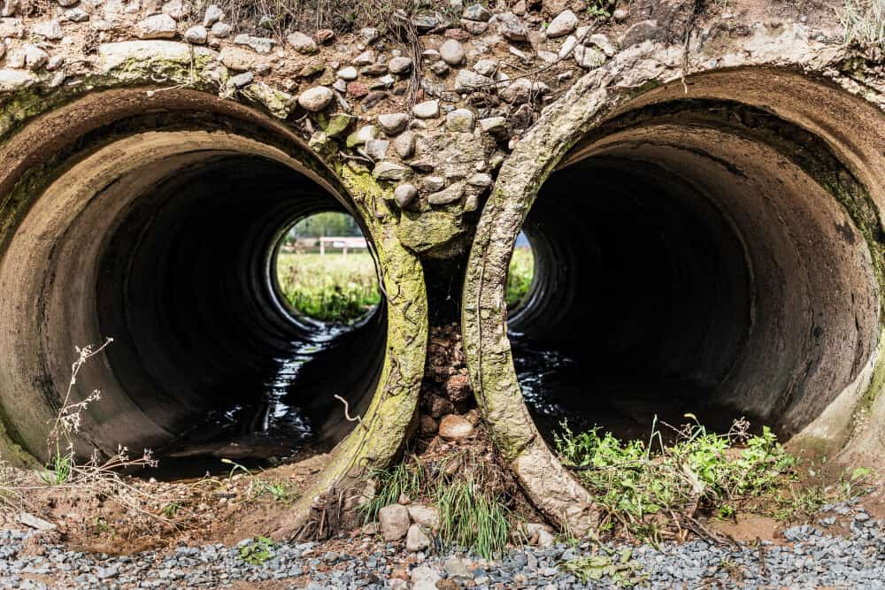 raices en tuberias