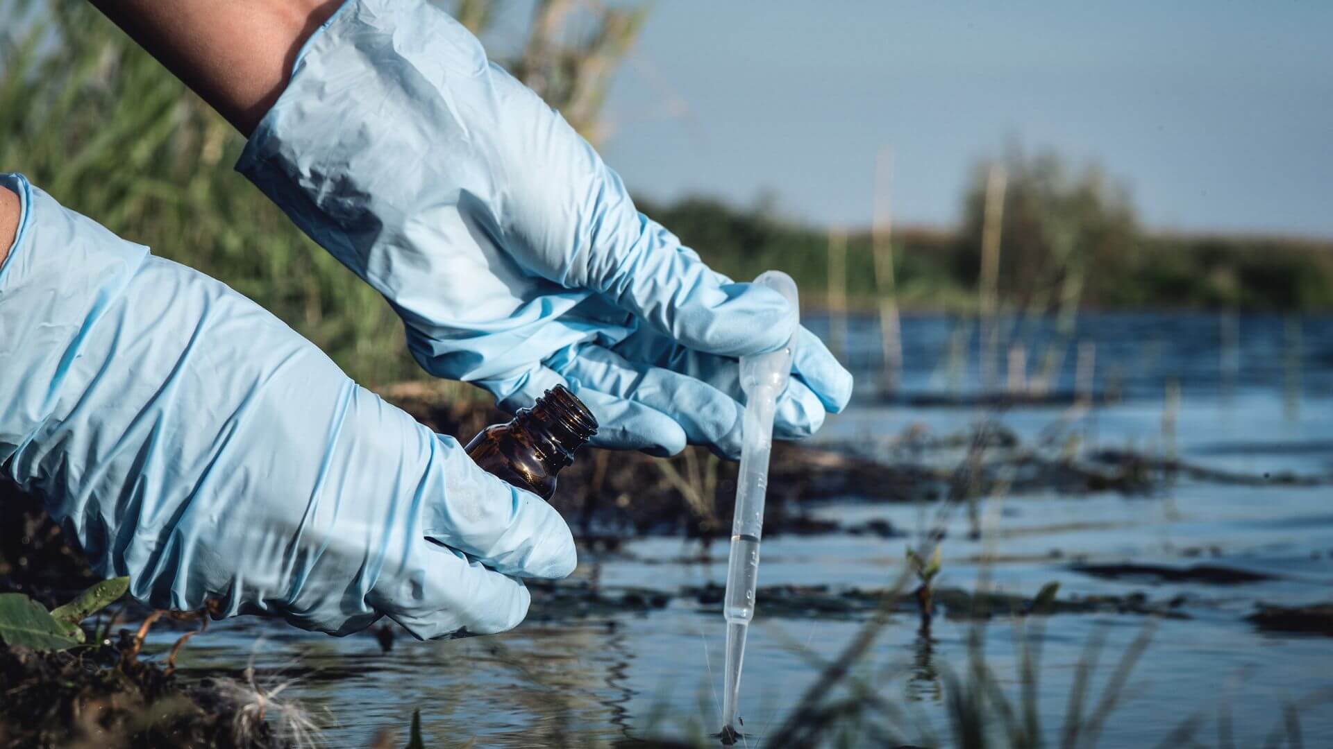 Impactos y Efectos de la Contaminación en el Ecosistema y la Salud Pública