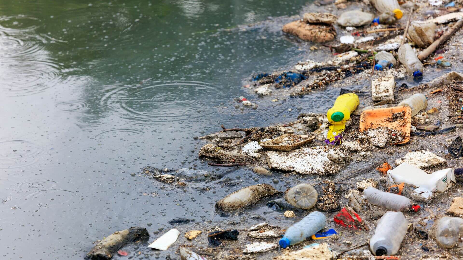 Principales Causas de la Contaminación del Agua en Panamá