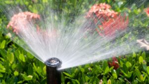 Cuidado del Agua en la Agricultura Técnicas Clave