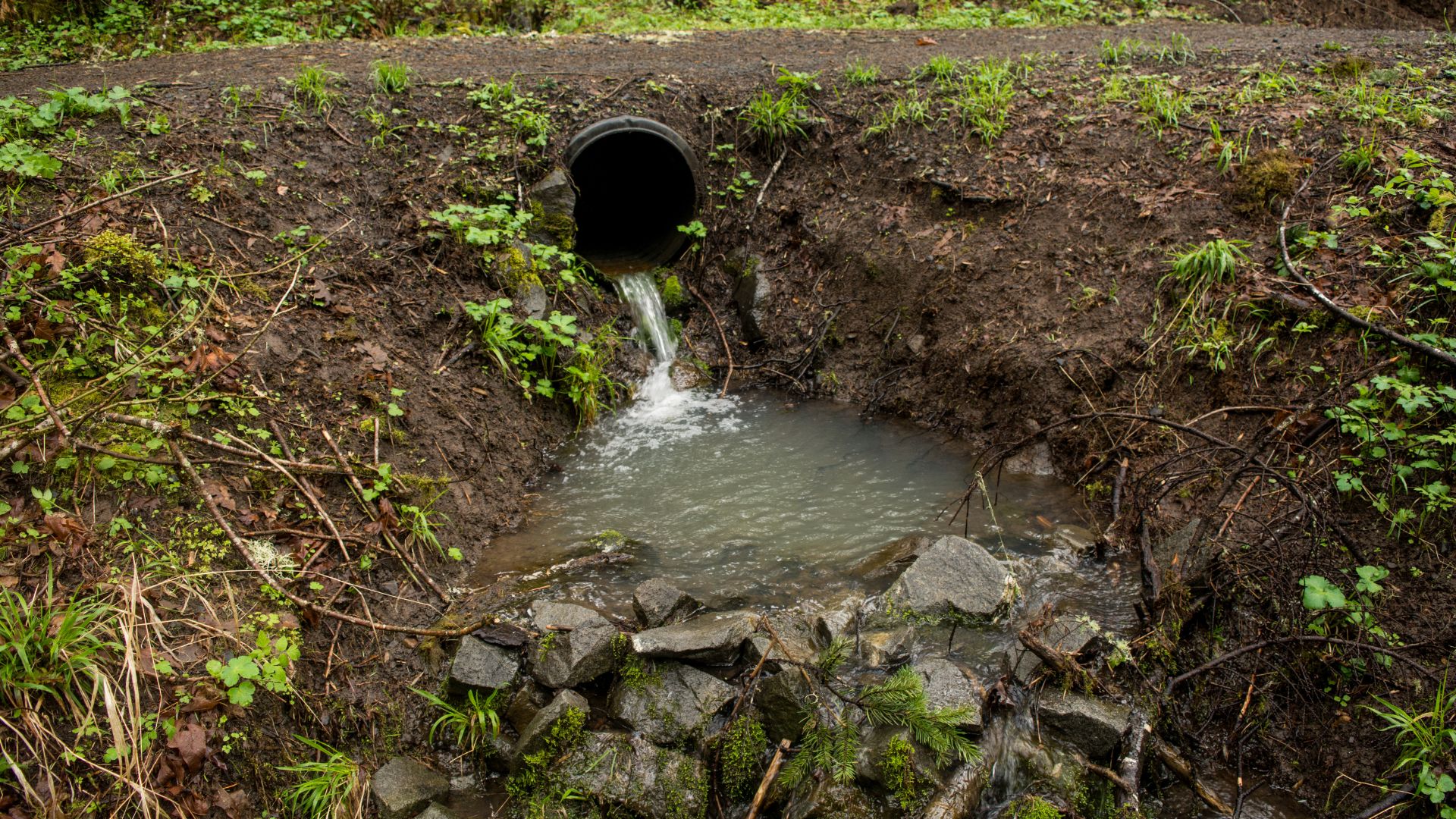 Soluciones Efectivas a Problemas de Drenaje