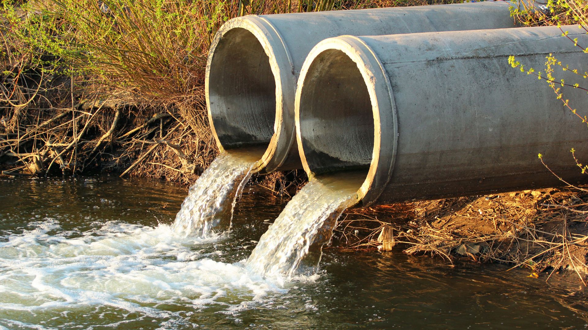 Aplicaciones de las Aguas Grises Tratadas en Panamá